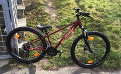 Juniorské kolo KTM Penny Lane 272